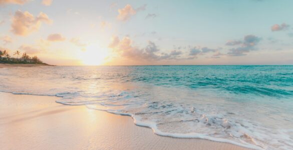 Bright sunlight over a sandy beach and ocean