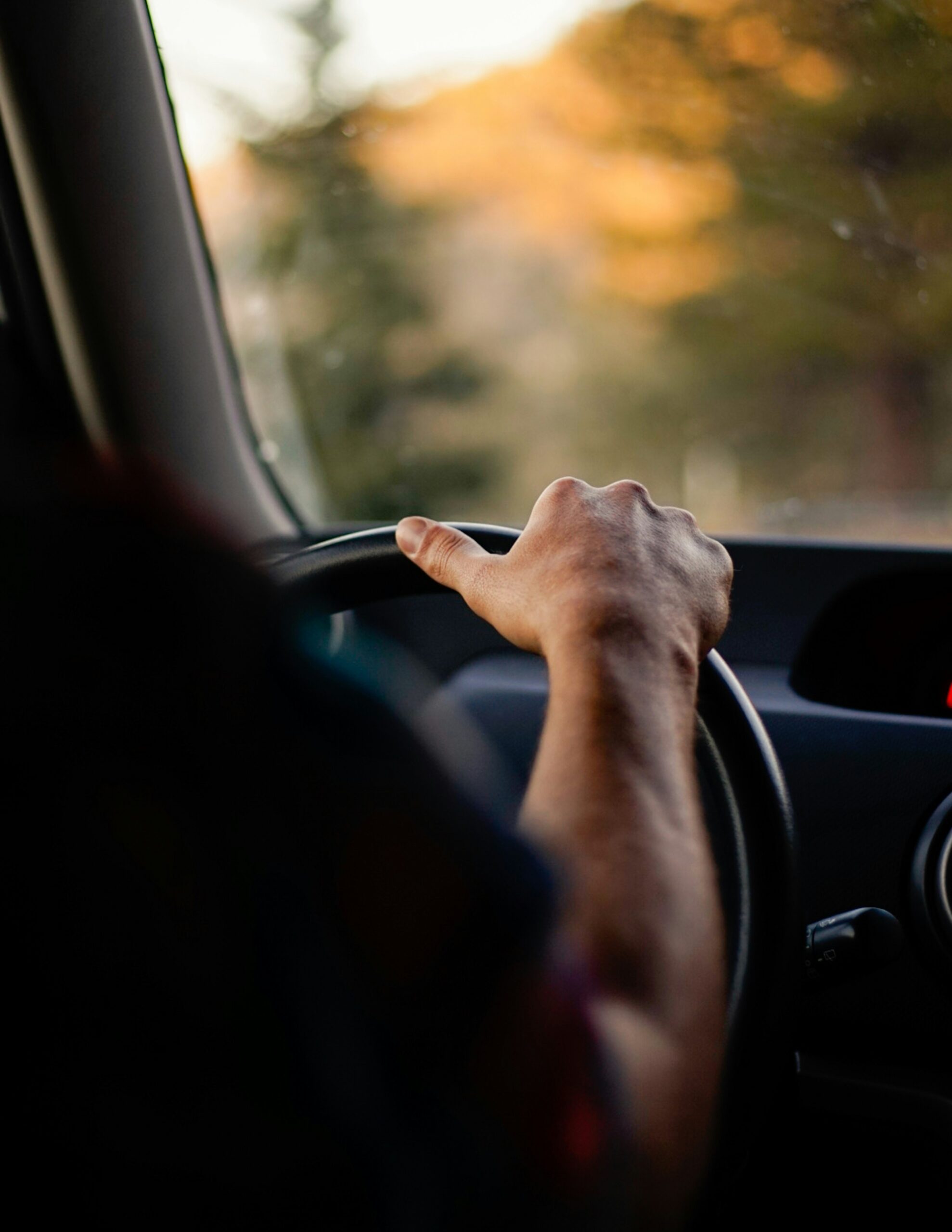 A driver holds the steering wheel while scenery blurs outside the car window