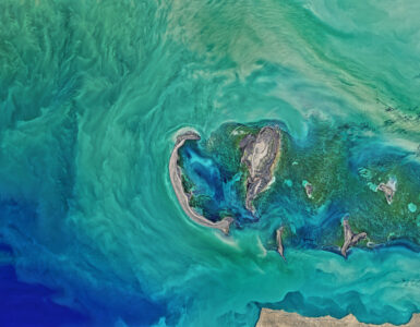 A calm stretch of the Caspian Sea coastline, showing the broad inland water body at the center of the region.