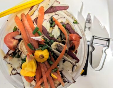 Vegetable peels and food scraps collected as organic material for composting.