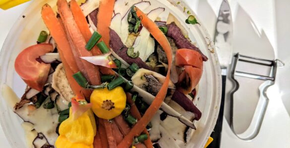 Vegetable peels and food scraps collected as organic material for composting.