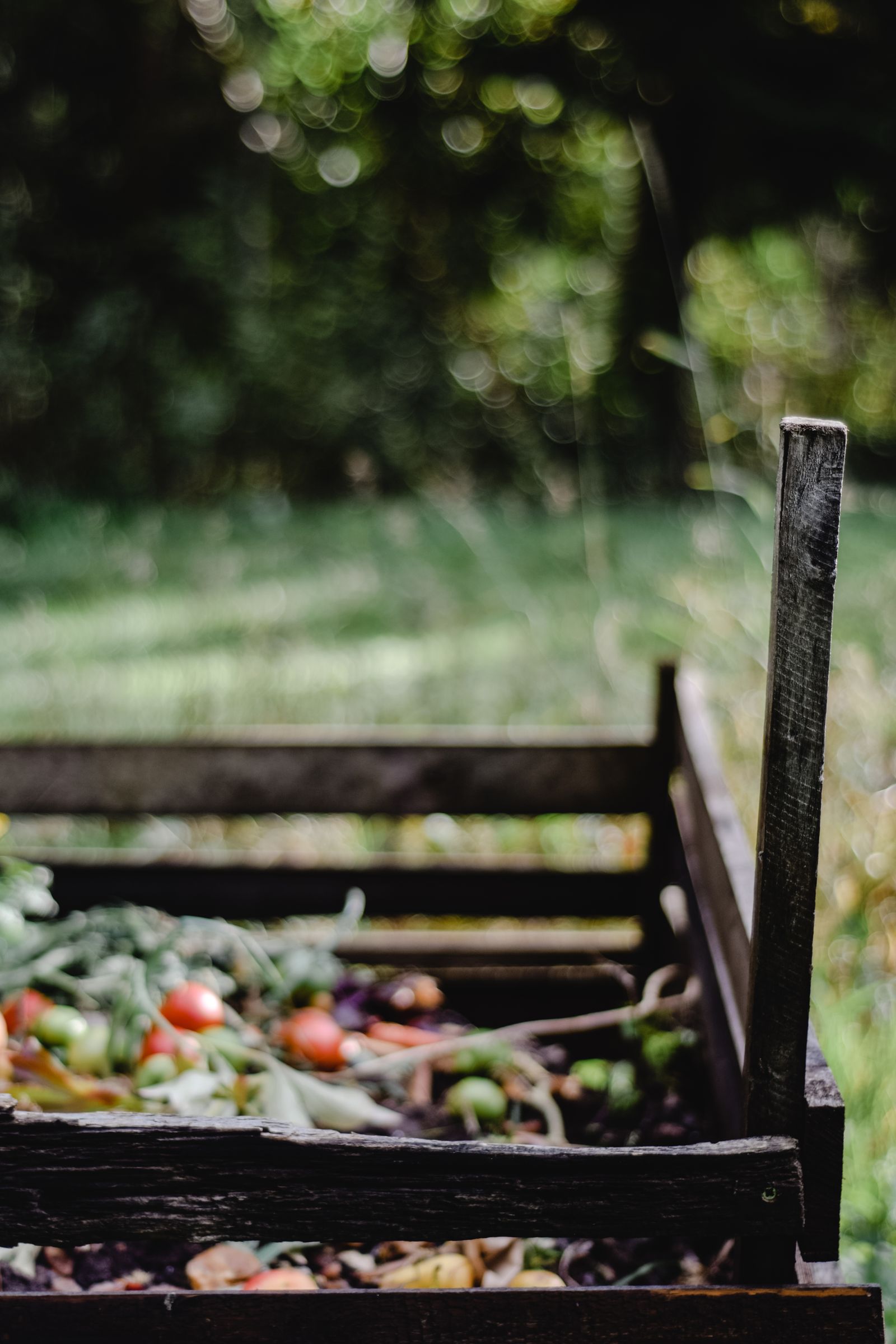 A wooden compost bin holds organic scraps in a green garden setting.