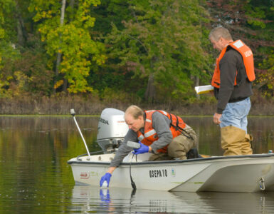 Scientists collect water samples that can be tested for environmental DNA from nearby species