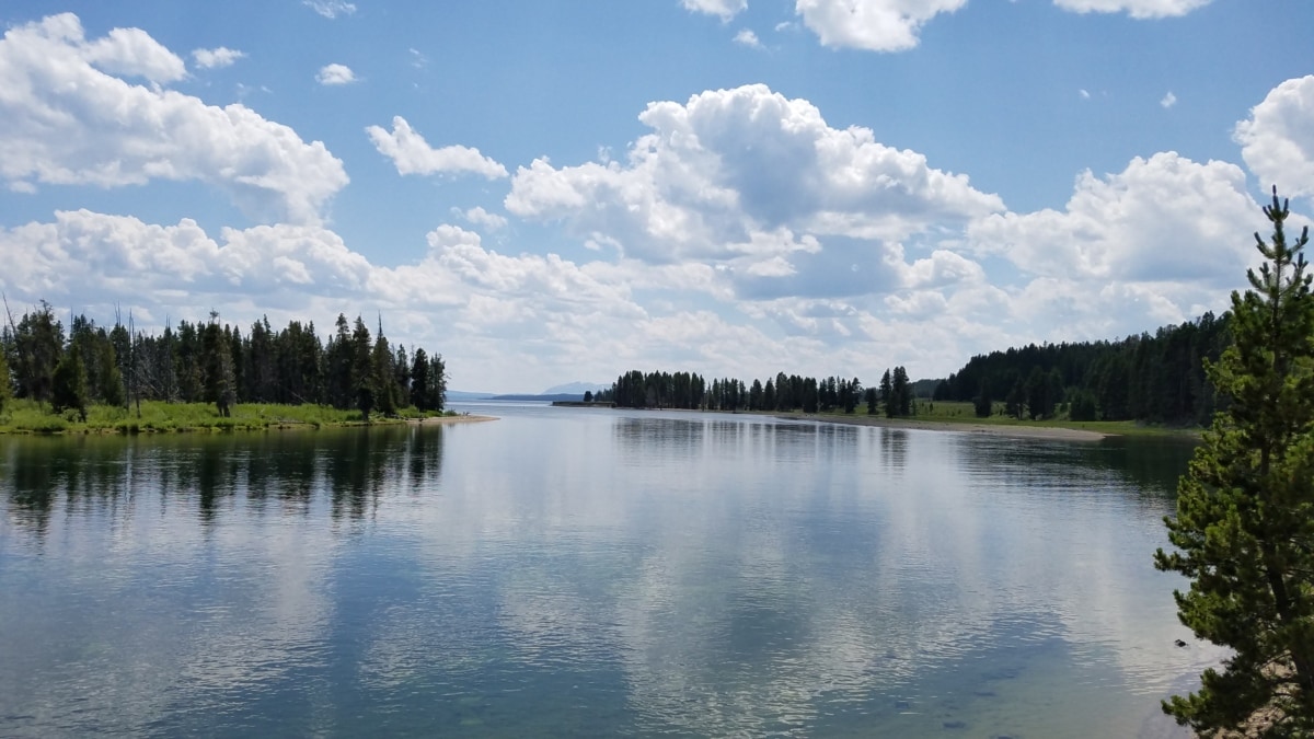 A calm lake where environmental DNA sampling can help monitor species changes over time