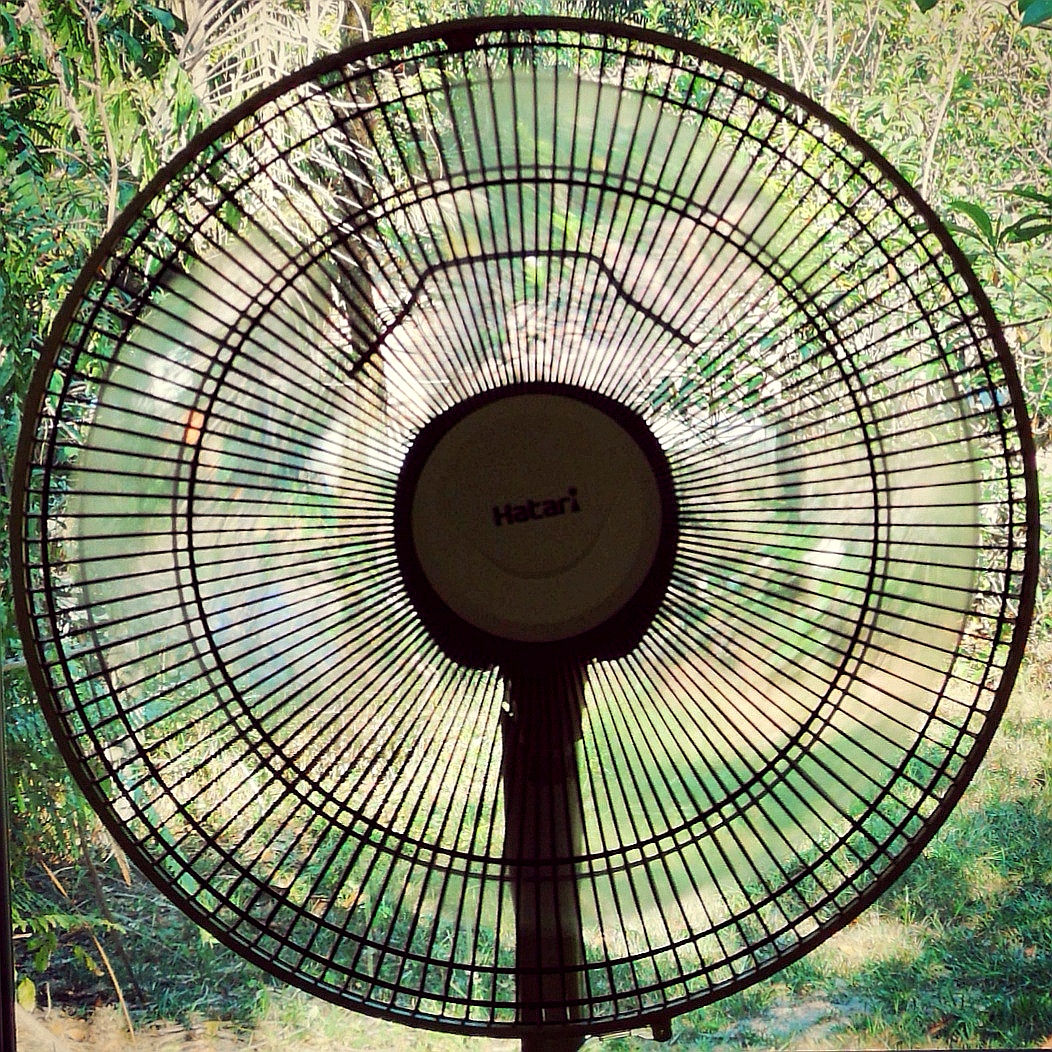 An electric fan with circular grille blades used to move indoor air