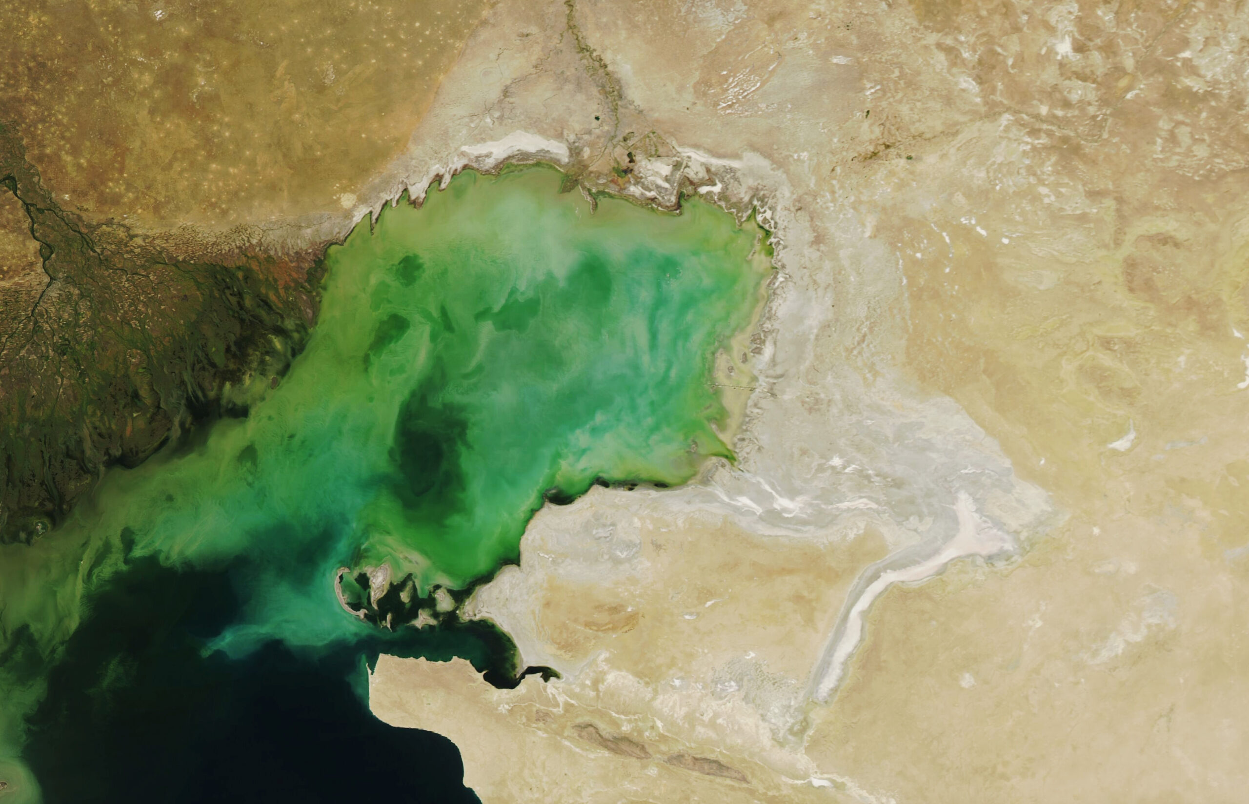Satellite view of the northern Caspian Sea with pale exposed shoreline and mineral crusts around shallow water.