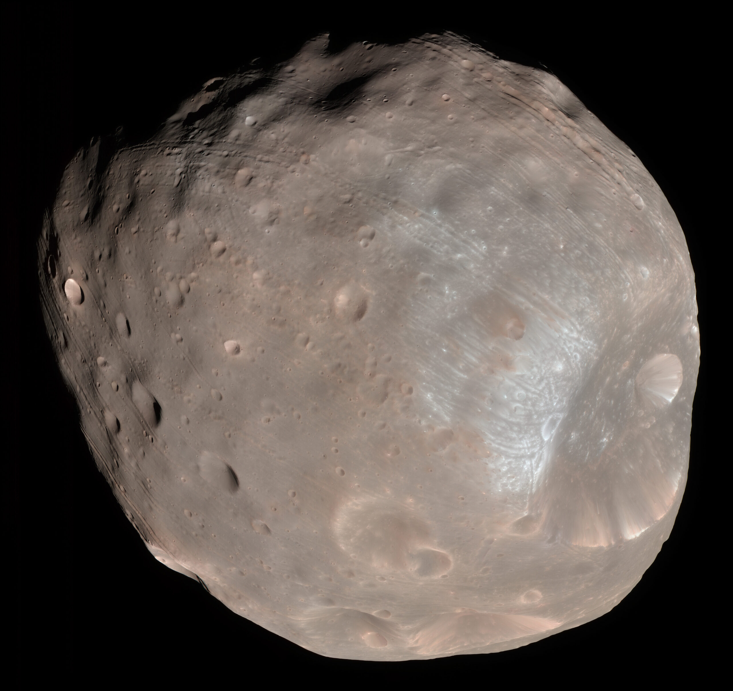 Phobos, the irregular inner moon of Mars, photographed by a spacecraft.