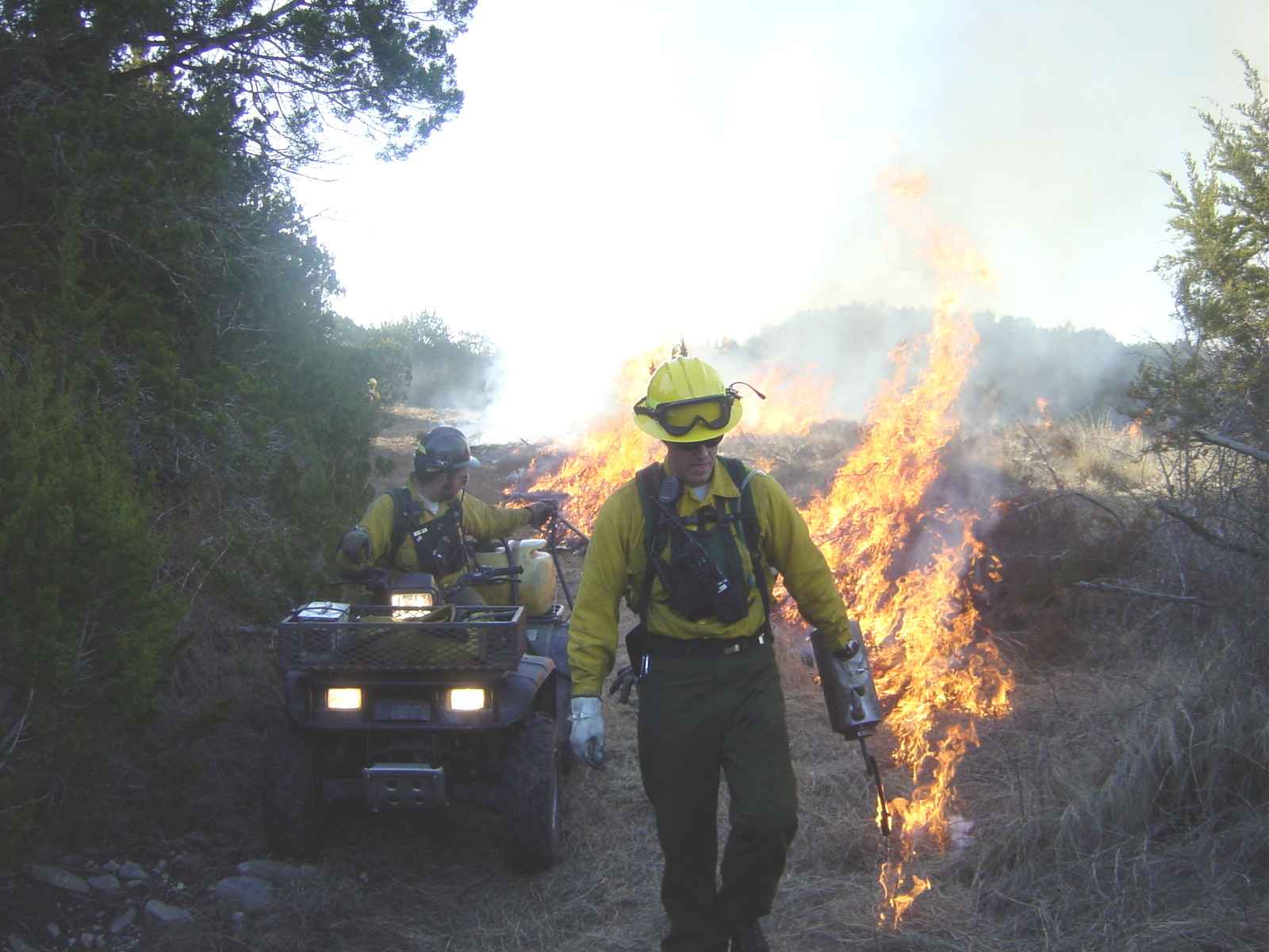Firefighters conduct a prescribed burn with flames moving through dry vegetation under controlled conditions.