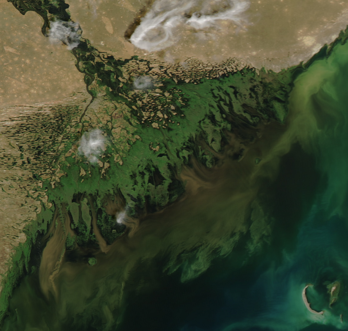 Satellite image of the Volga Delta spreading into the northwestern Caspian Sea in branching green channels.