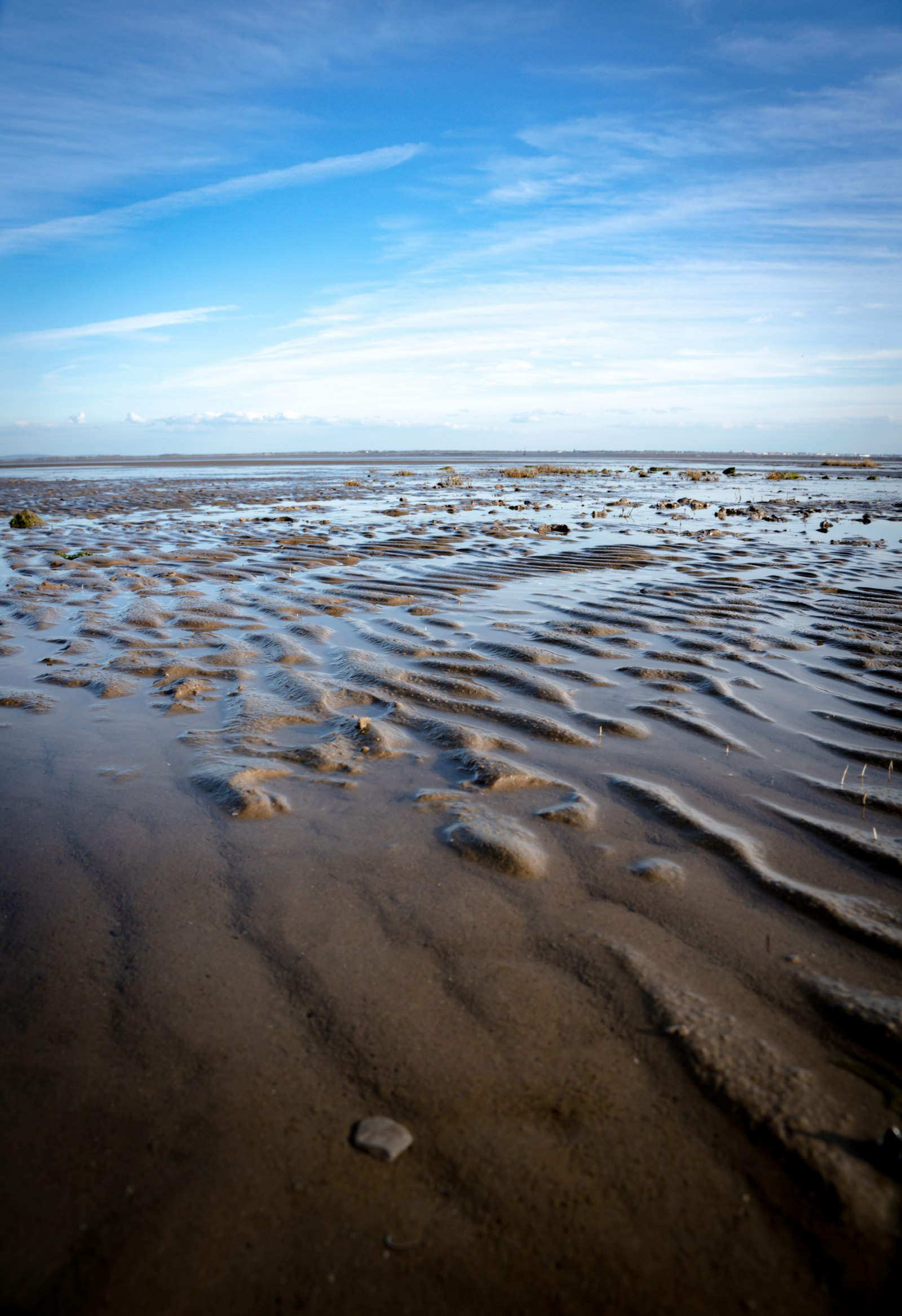 Wet rippled beach sand near shallow water, where moisture and mixing keep temperatures lower than dry sand