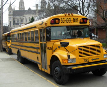 Several yellow school buses parked together, showing their large size and high-visibility design
