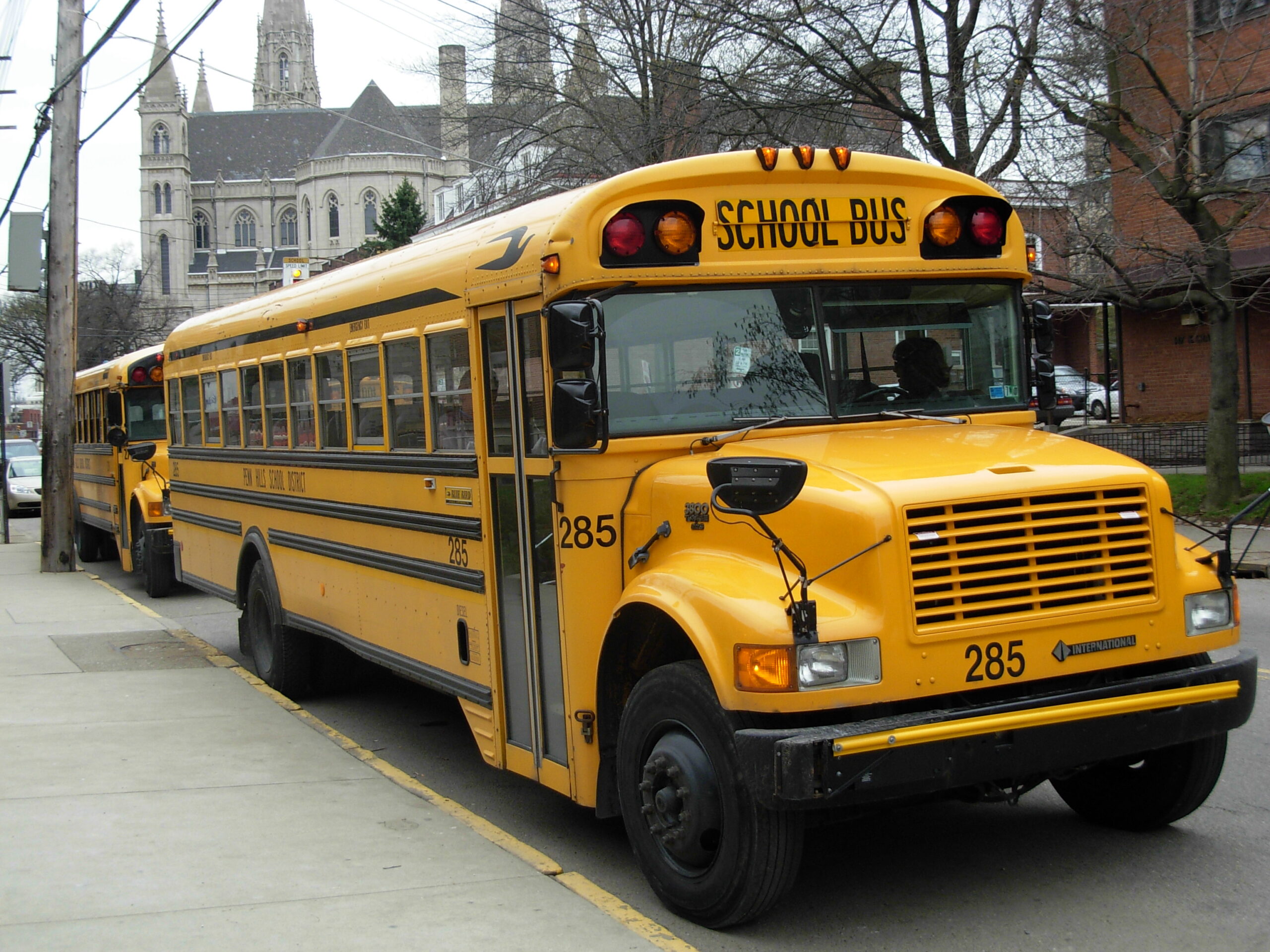Several yellow school buses parked together, showing their large size and high-visibility design
