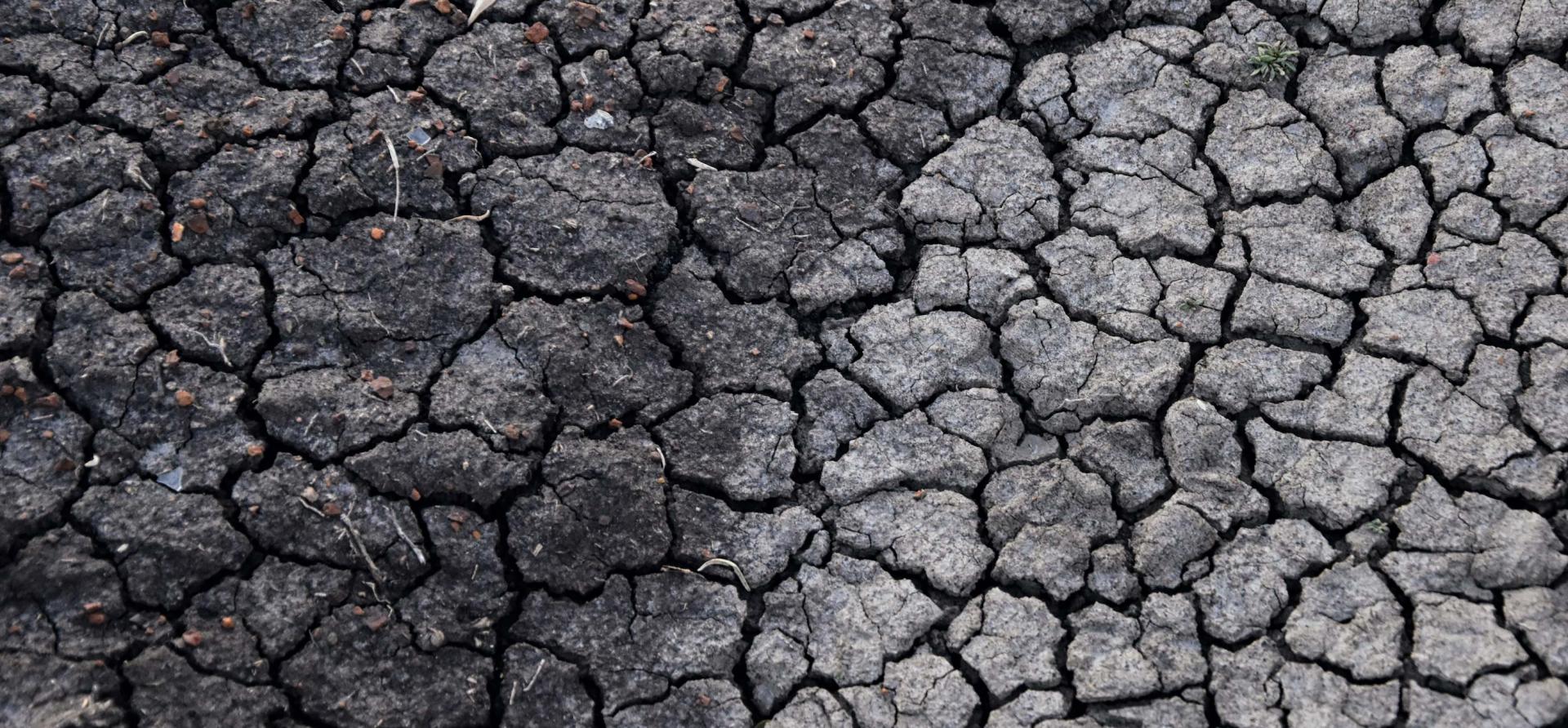 Cracked dry soil before rainfall, where plant oils and soil compounds can build up during dry weather.