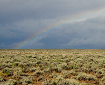Rain falling on dry sage steppe soil where petrichor can form after a dry spell.