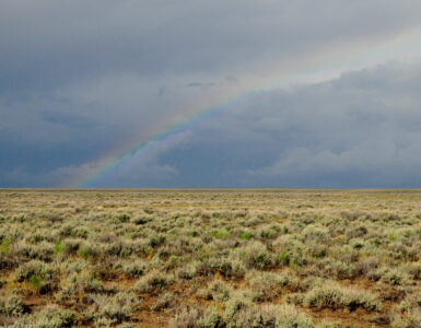 Rain falling on dry sage steppe soil where petrichor can form after a dry spell.