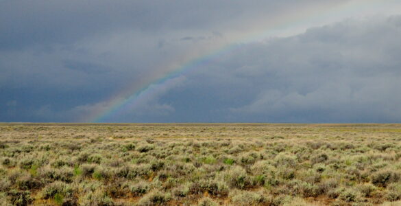 Rain falling on dry sage steppe soil where petrichor can form after a dry spell.
