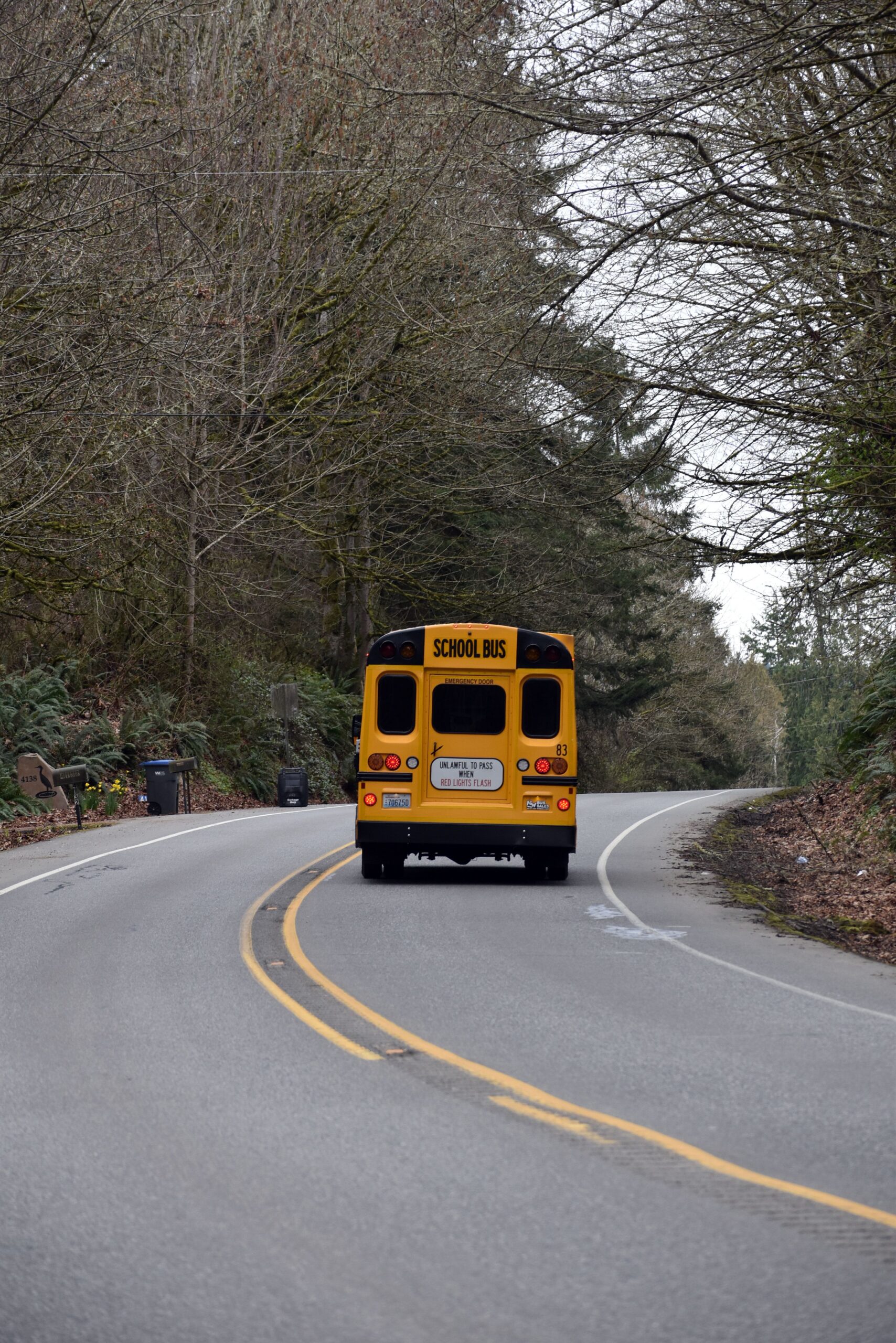 Rear view of a yellow school bus traveling along a curved two-lane road.