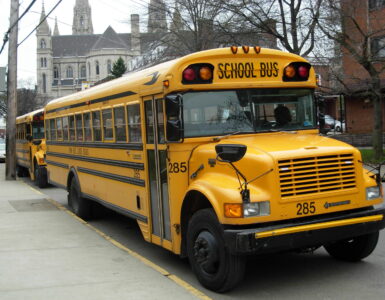 Yellow school buses parked together, representing student transportation safety routines.