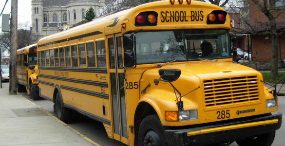 Yellow school buses parked together, representing student transportation safety routines.
