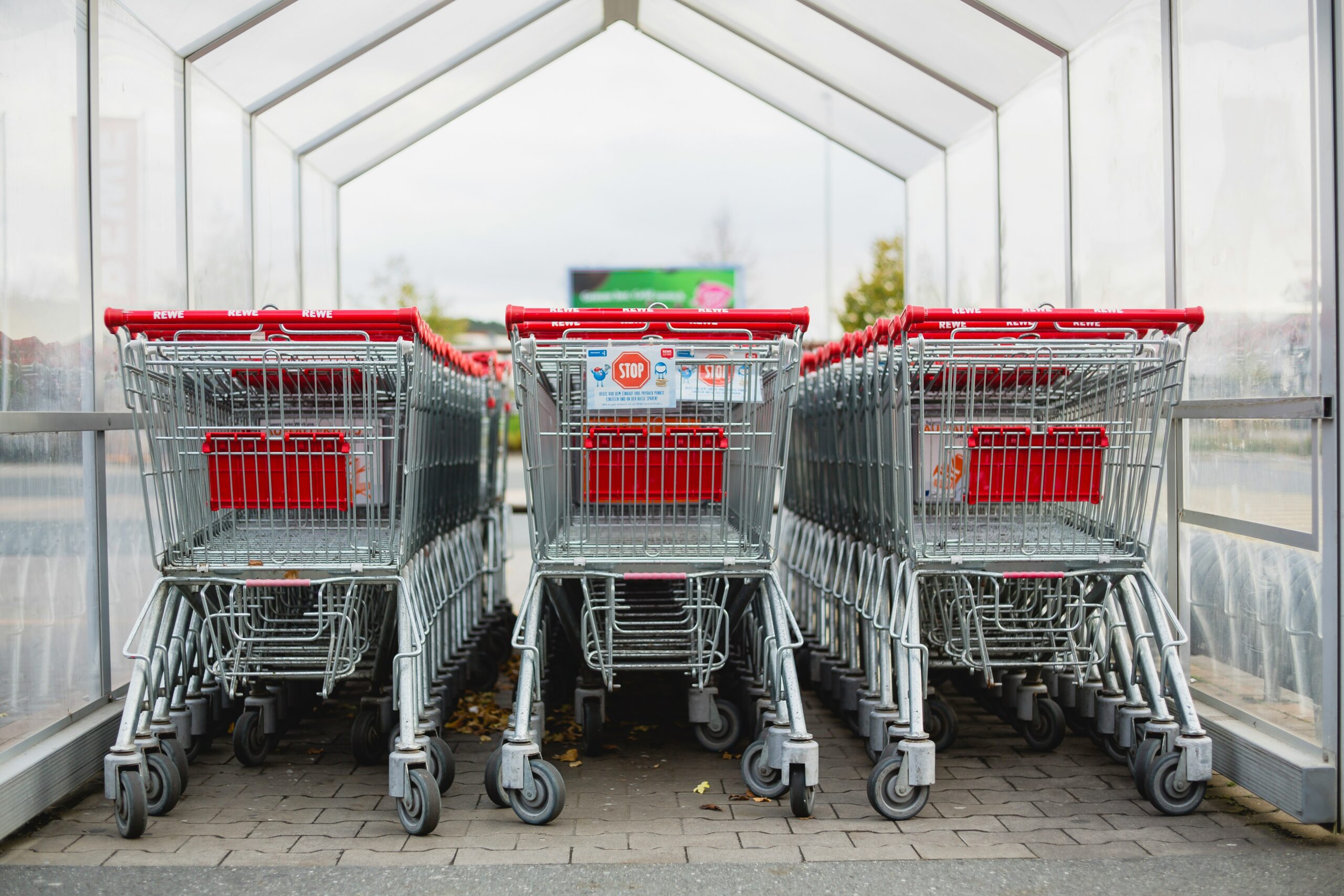Rows of shopping carts at a store entrance, representing how school shopping choices can expand beyond the original list.
