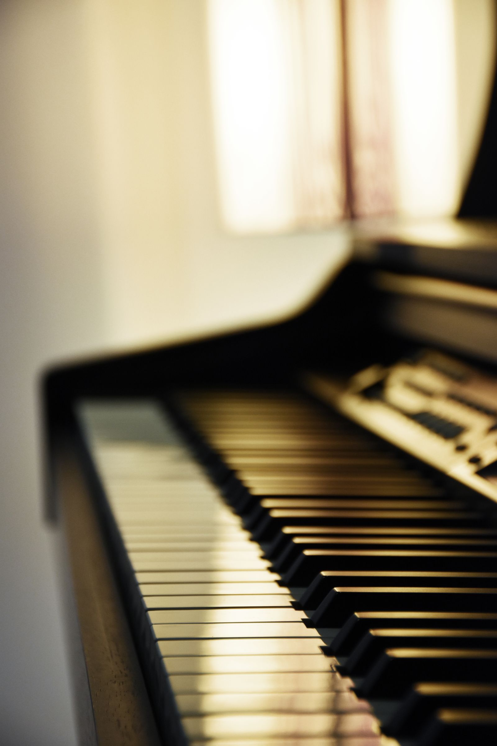 Close-up of the black and white keys of an acoustic grand piano.
