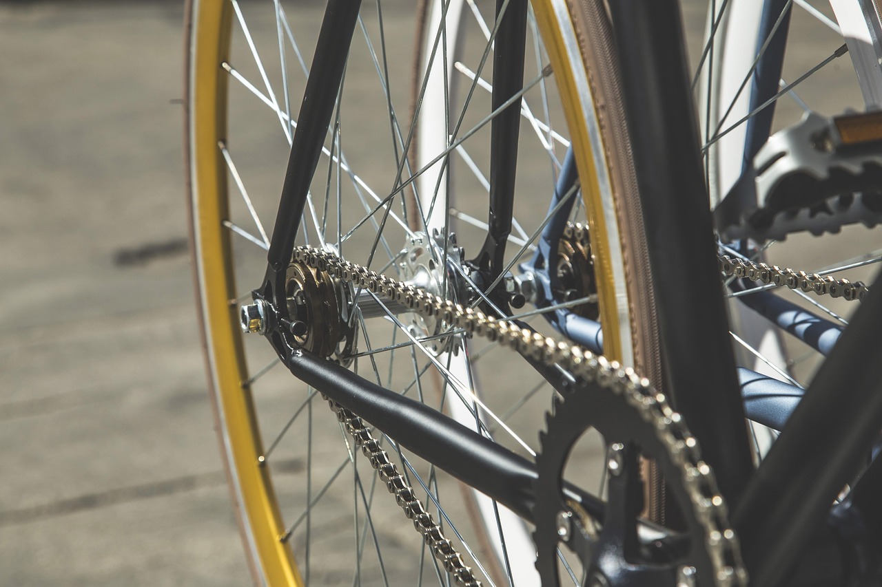 Bicycle chain and rear wheel viewed from the side, showing the path from pedals to wheel