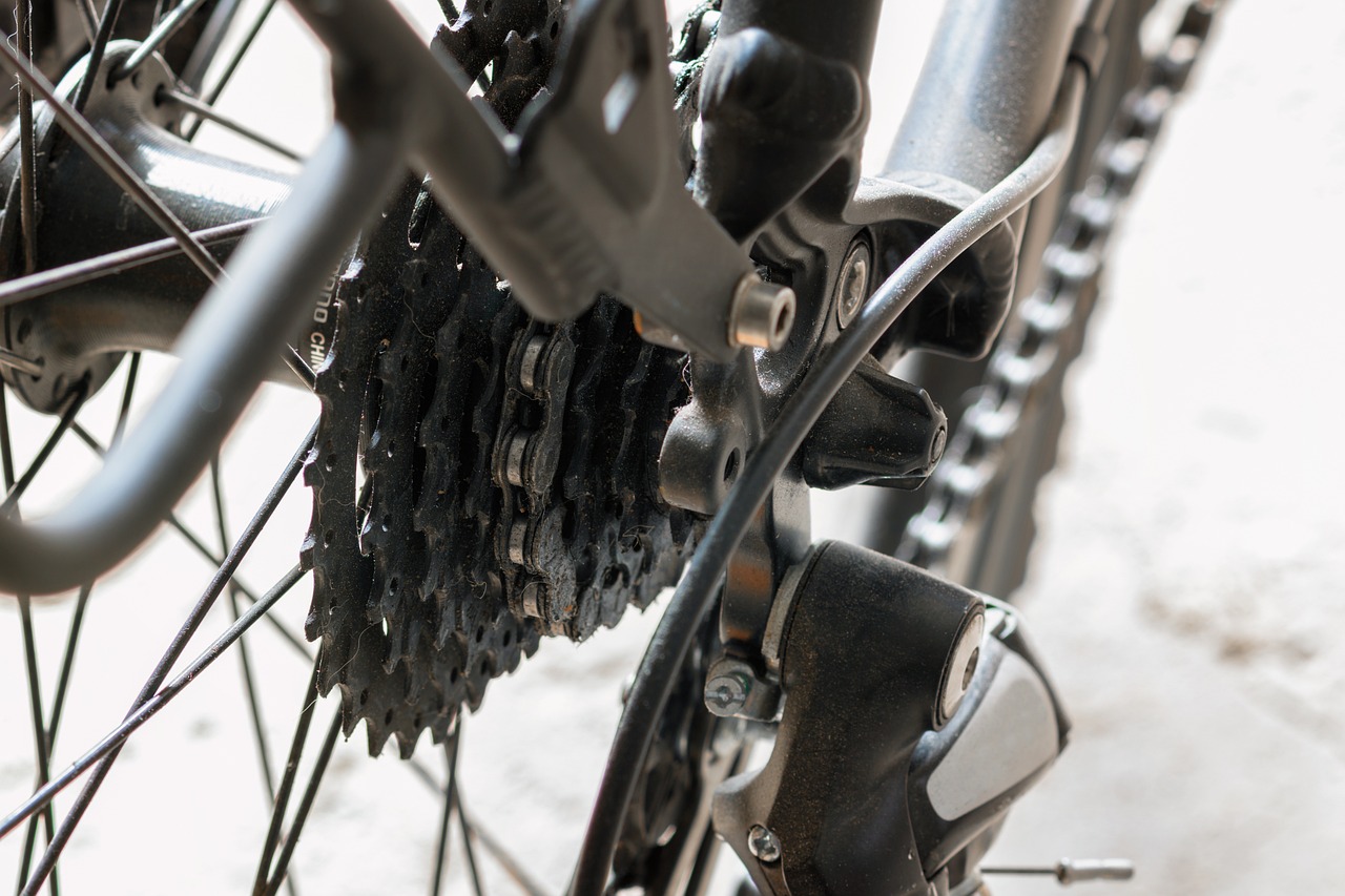 Rear bicycle gears and derailleur showing the chain path across different sprockets
