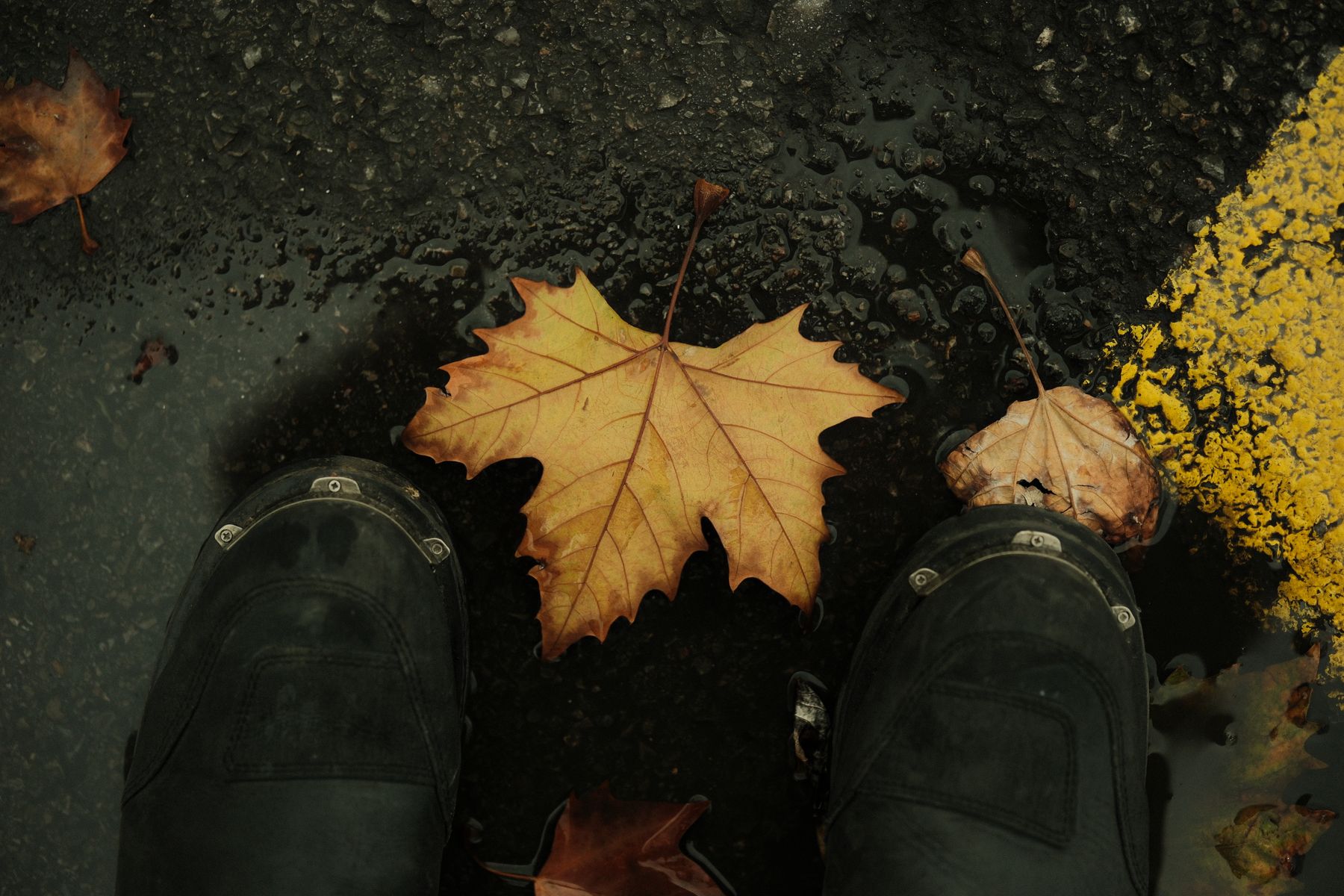 Boots near wet autumn leaves scattered across pavement