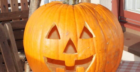 A freshly carved jack-o'-lantern displayed outdoors in daylight.