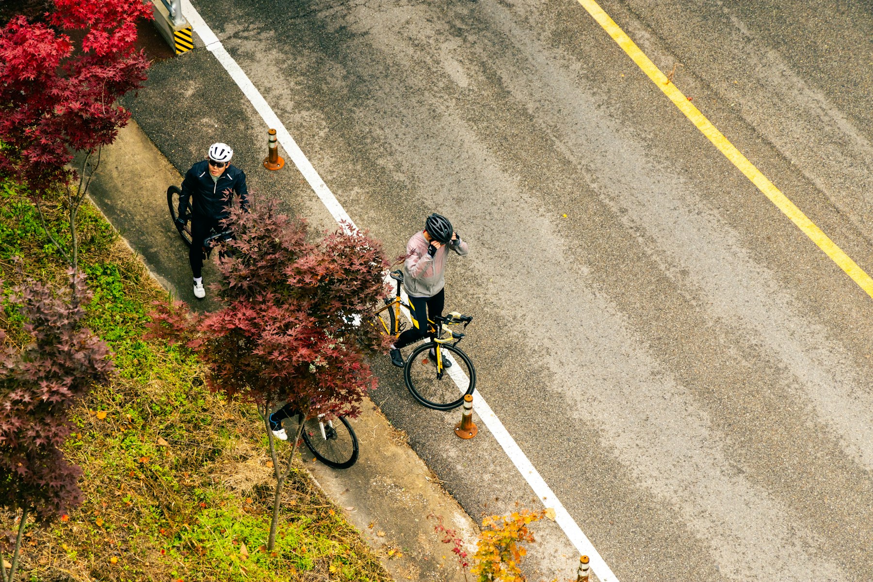 Two cyclists riding on a paved road surrounded by autumn foliage