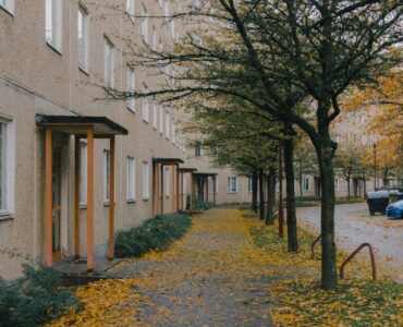 Yellow autumn leaves covering a paved residential street beneath a tree canopy.