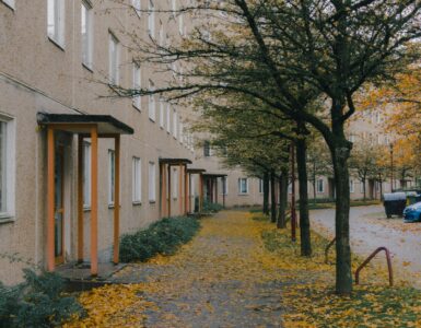 Yellow autumn leaves covering a paved residential street beneath a tree canopy.
