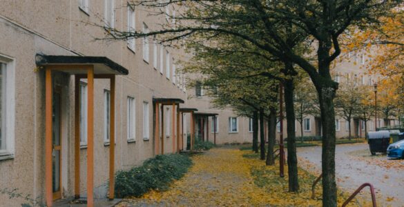 Yellow autumn leaves covering a paved residential street beneath a tree canopy.