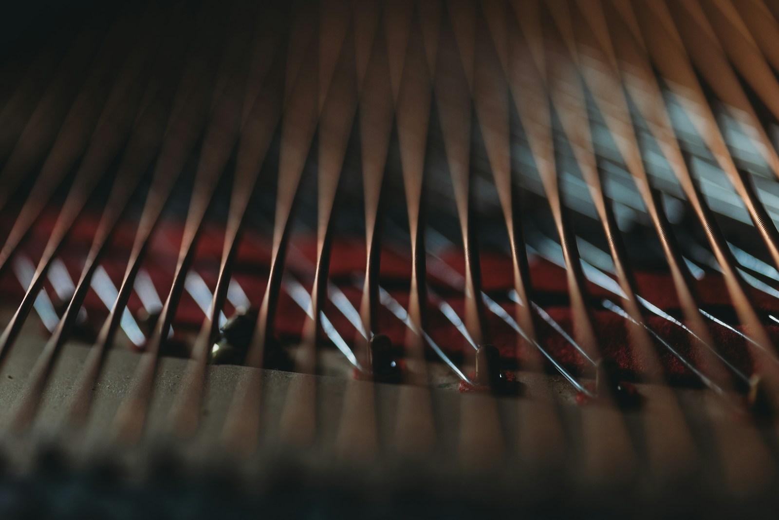 Close view of strings stretched across the frame and soundboard inside a grand piano.