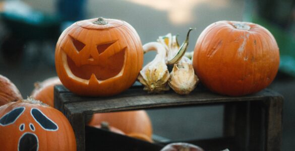 Carved jack-o'-lanterns displayed with uncarved pumpkins on wooden crates.