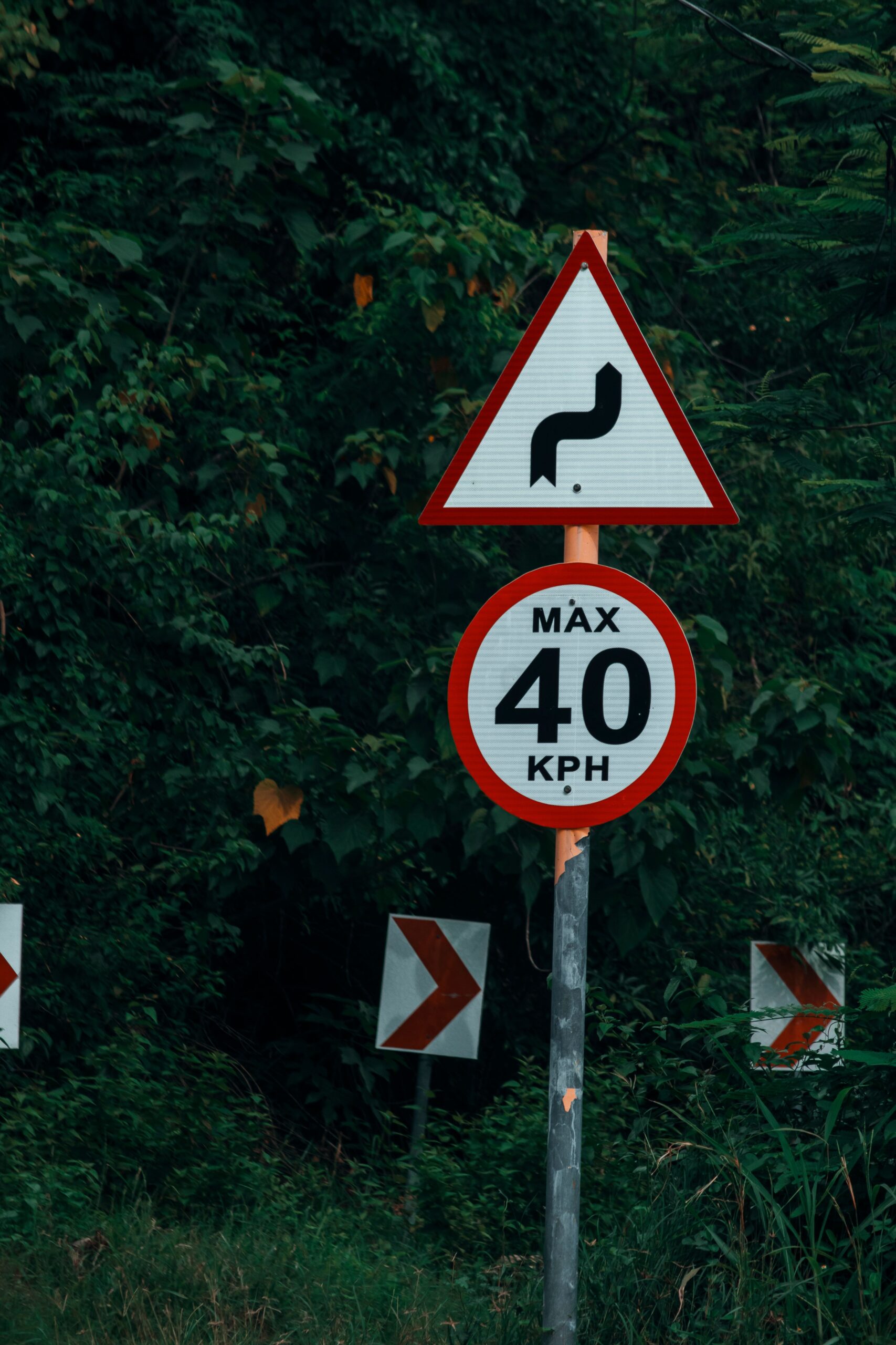 A roadside sign showing a maximum speed of 40 kilometers per hour