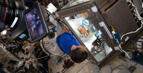 NASA astronaut Megan McArthur working with a life science experiment aboard the International Space Station.