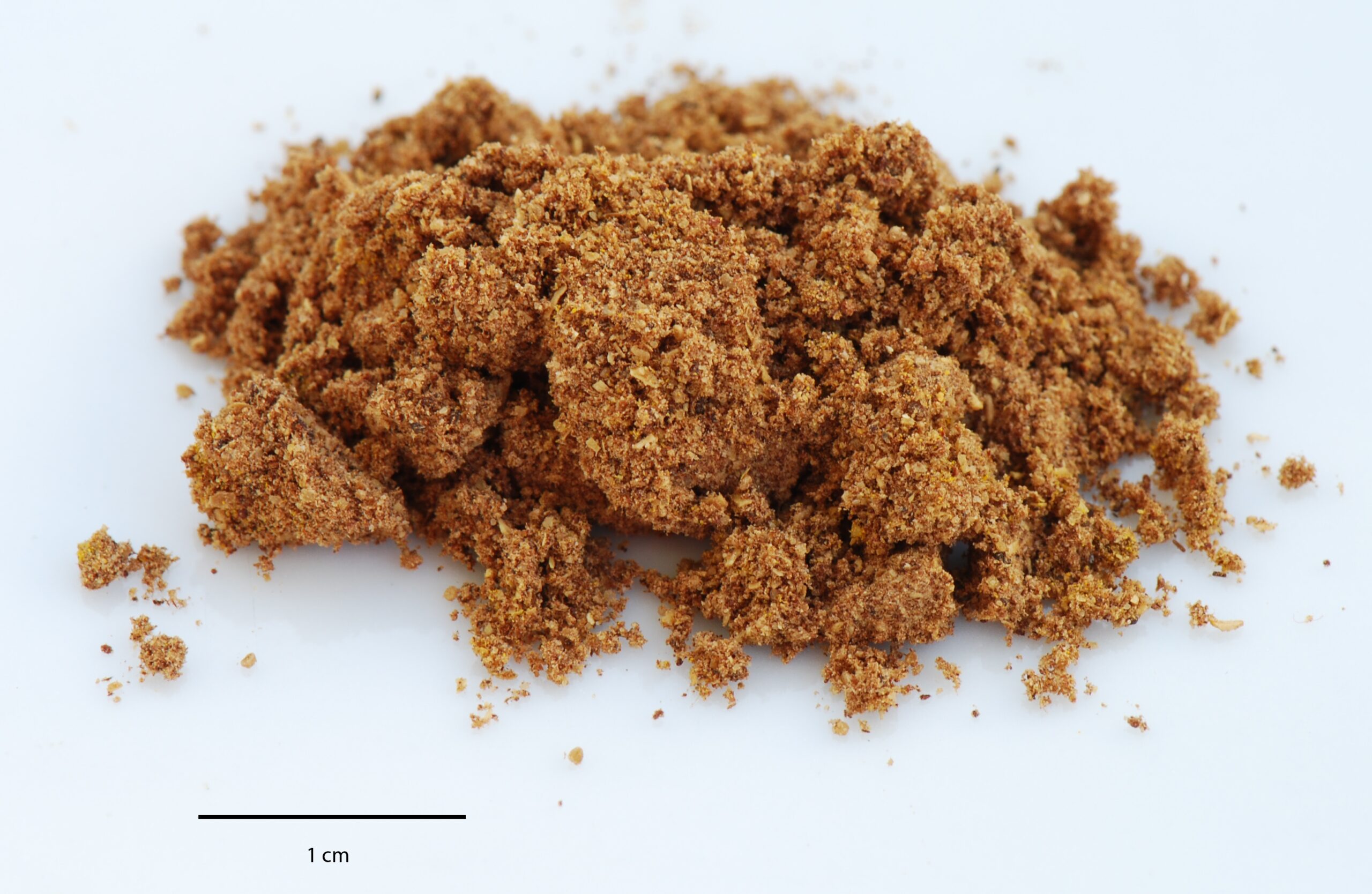Cinnamon sticks, cloves, star anise, and other whole spices arranged together.