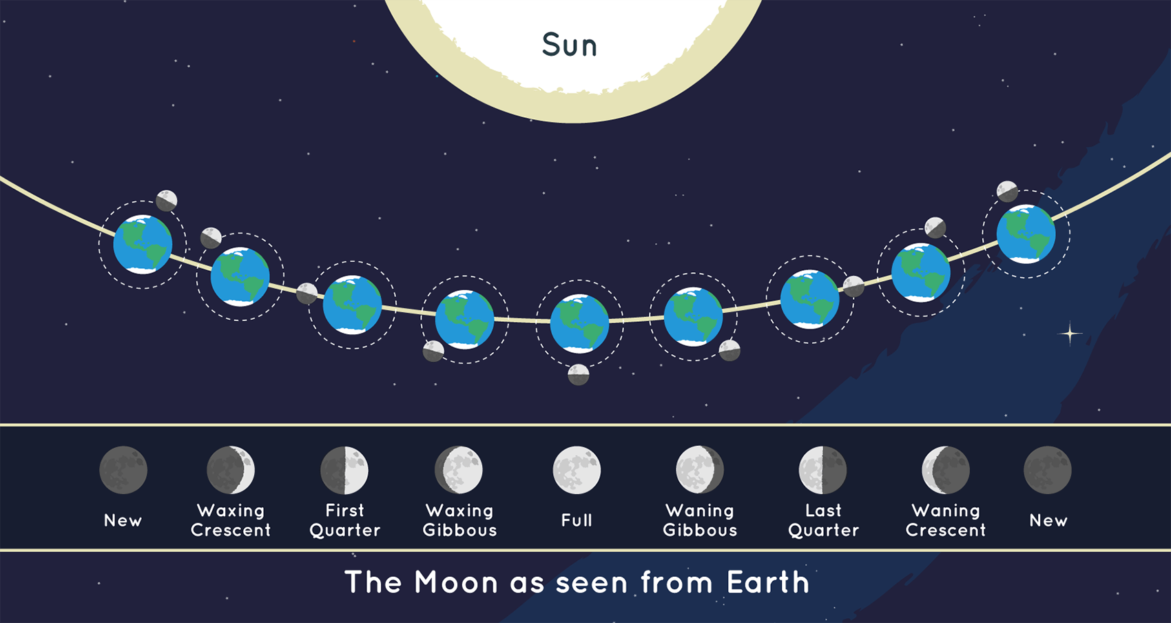 A diagram showing Moon phases, useful for choosing when crater shadows are easiest to observe.