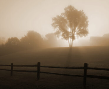 Sunrise shining through fog near a field on a cool morning