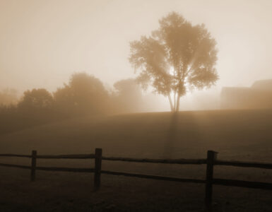 Sunrise shining through fog near a field on a cool morning