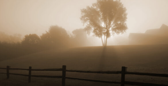 Sunrise shining through fog near a field on a cool morning