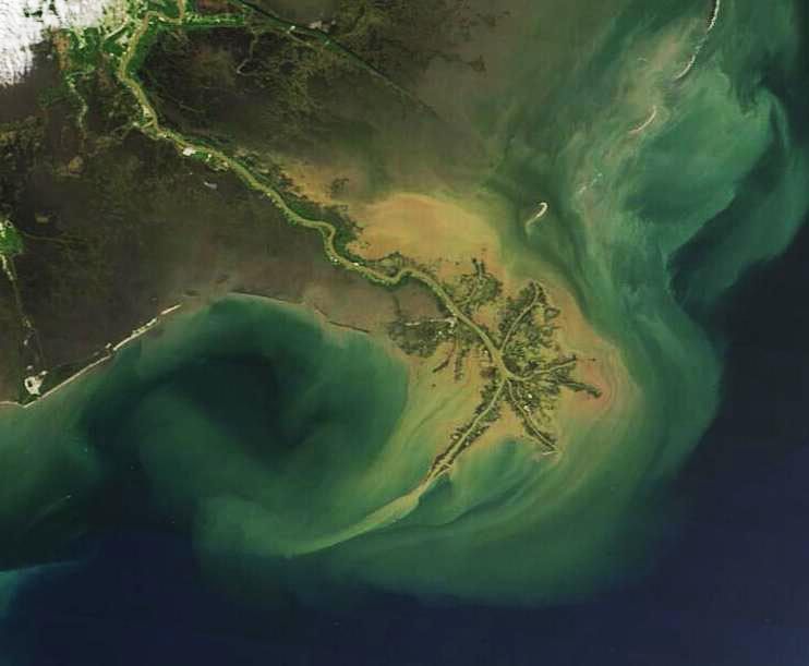 Satellite view of sediment-rich river water spreading outward, showing how flowing water carries and deposits material.