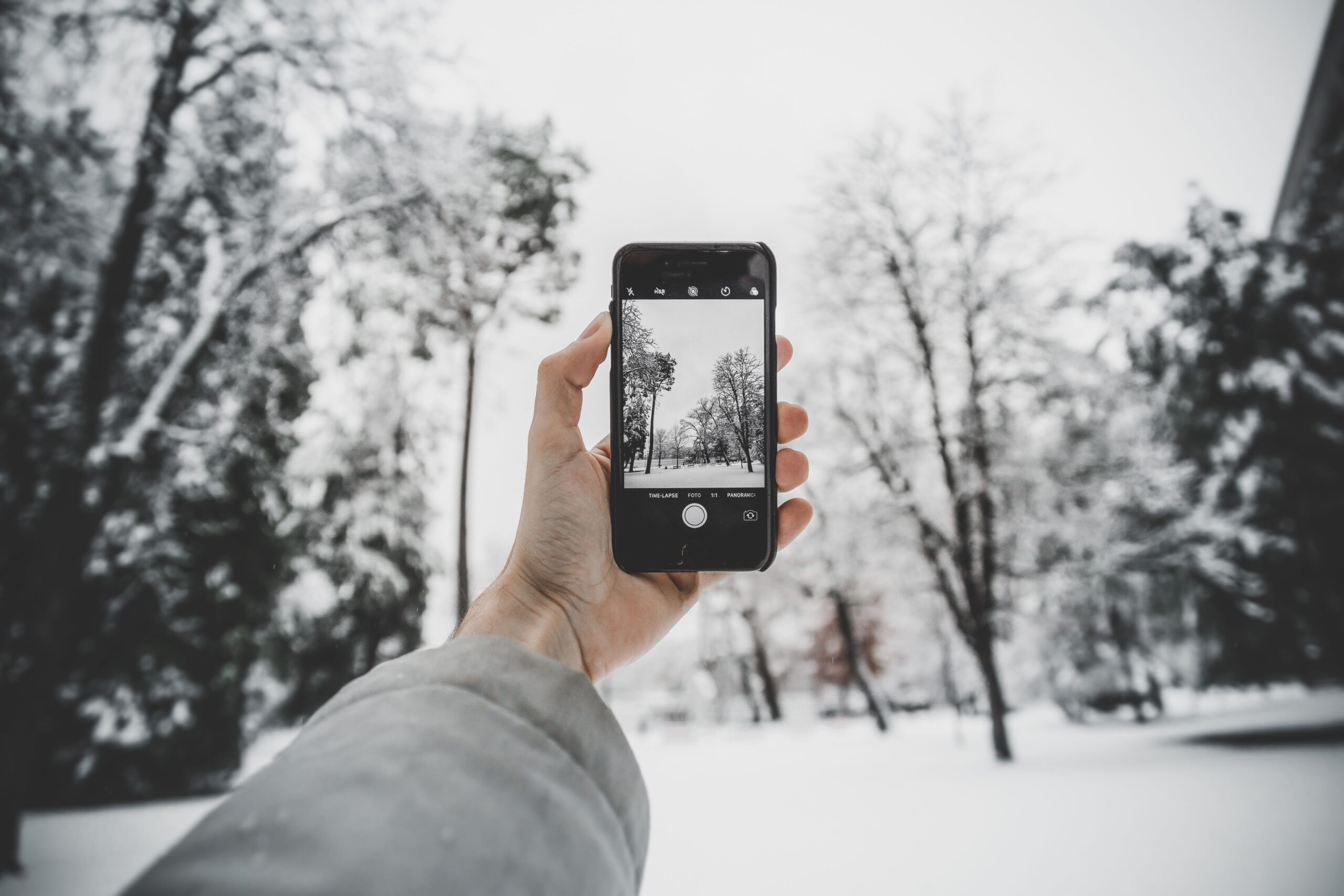 A gloved hand holds a smartphone while photographing snow-covered trees