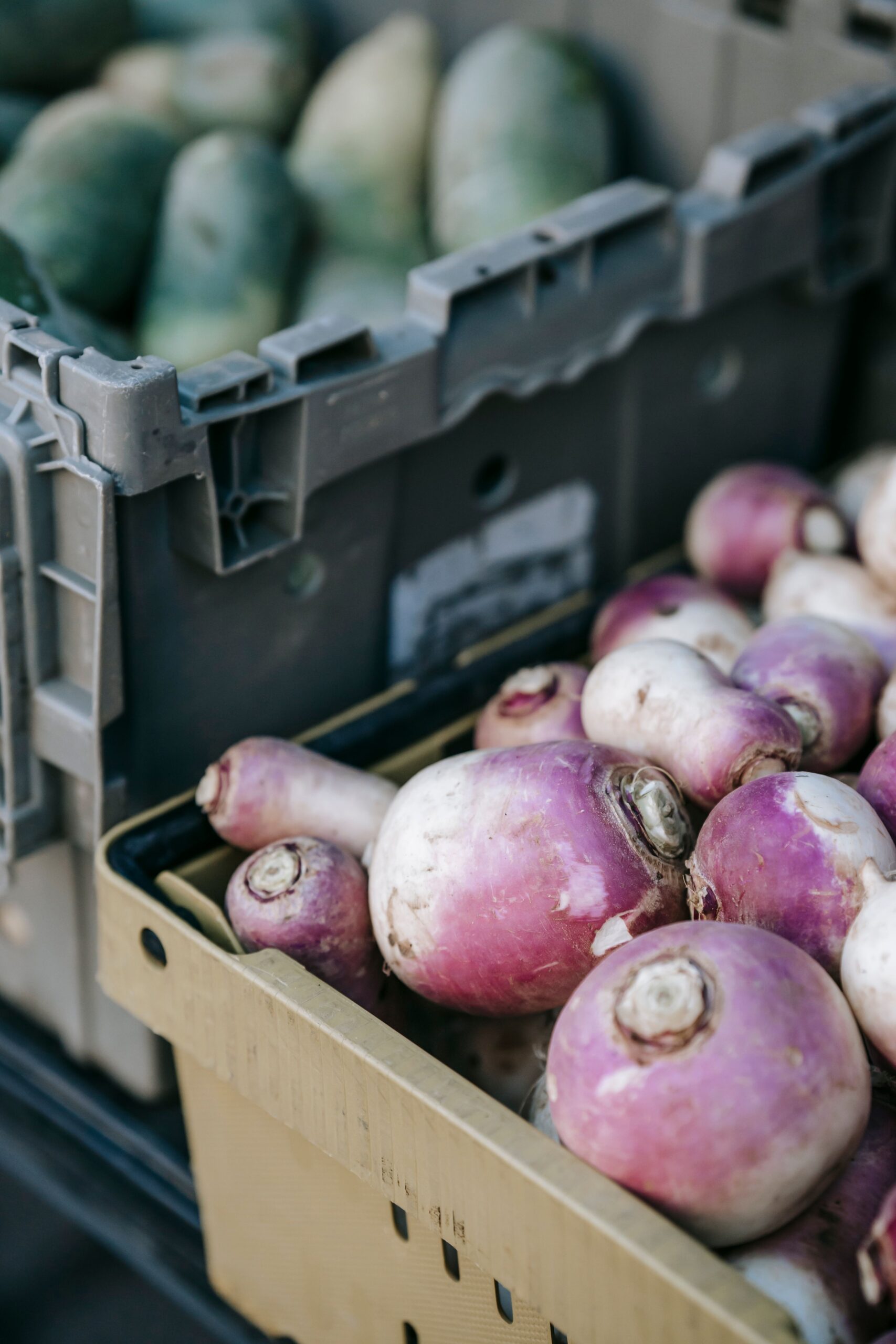 Fresh white and purple turnips arranged in crates at an outdoor market.