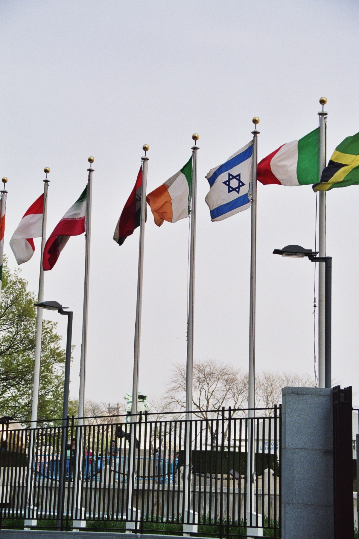 Rows of national flags flying outside United Nations Headquarters in New York