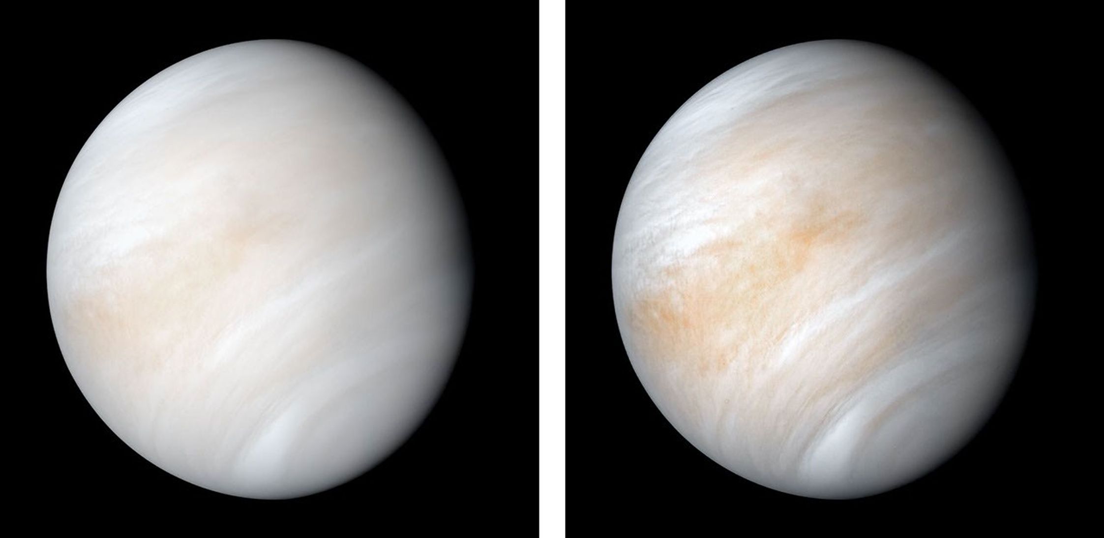Venus as a pale globe wrapped in bright reflective cloud layers in a Mariner 10 spacecraft image.