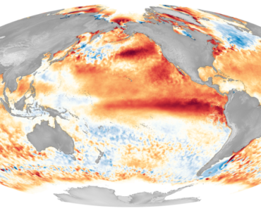 Map of warmer-than-average sea surface temperatures across the equatorial Pacific during El Niño.