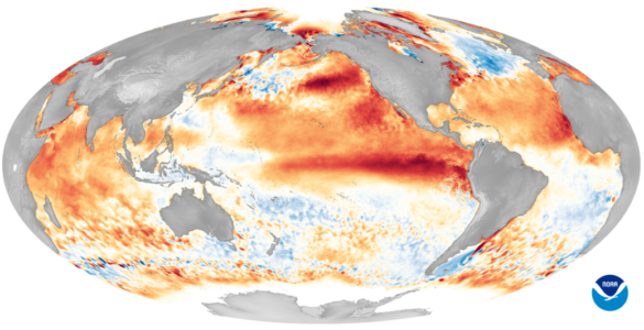 Map of warmer-than-average sea surface temperatures across the equatorial Pacific during El Niño.