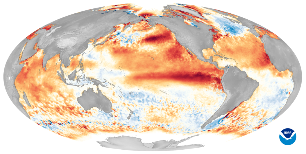 Map of warmer-than-average sea surface temperatures across the equatorial Pacific during El Niño.